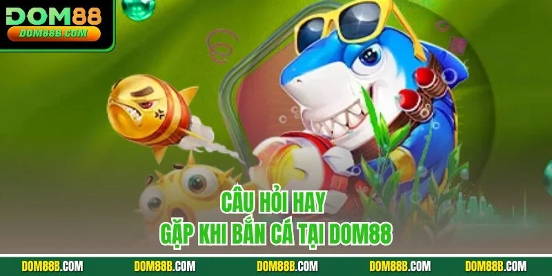 Câu hỏi hay gặp khi bắn cá tại Dom88